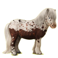 Pony Shetlander Wildkleur