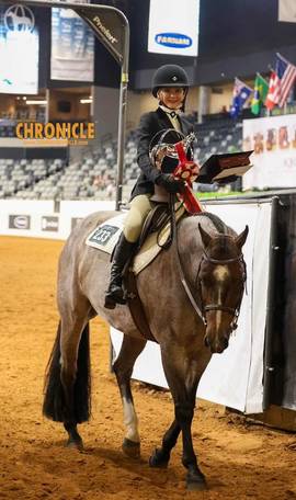 OQHYA Made It Count in OKC!