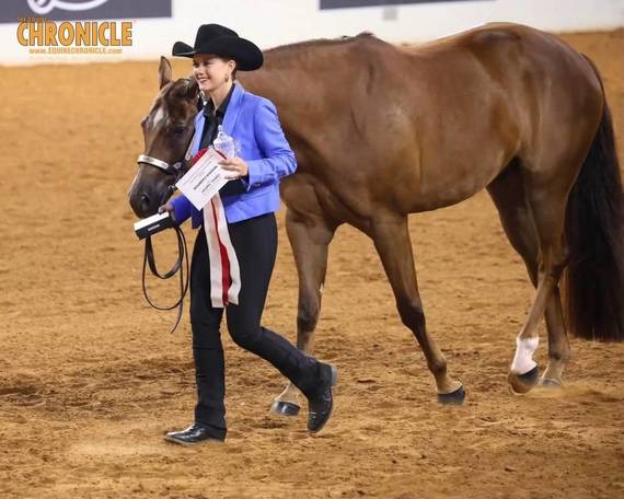 OQHYA Made It Count in OKC!
