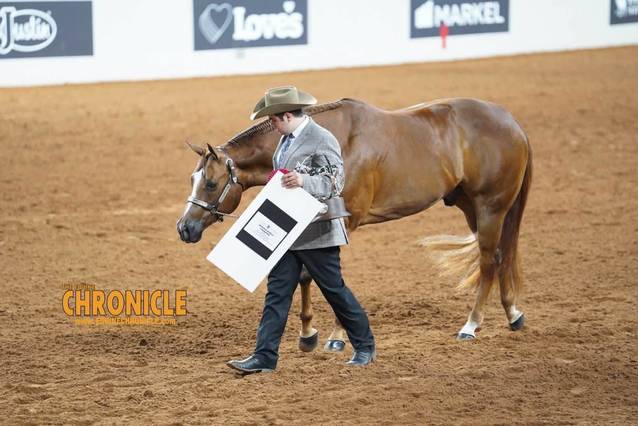 OQHYA Made It Count in OKC!