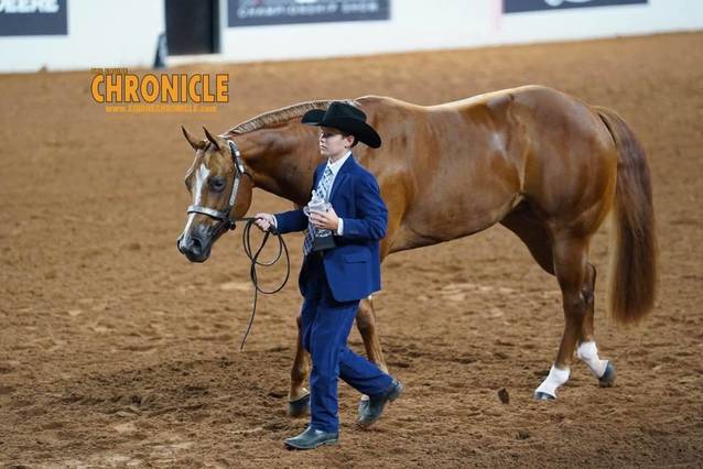 OQHYA Made It Count in OKC!