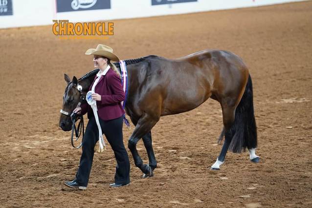 OQHYA Made It Count in OKC!