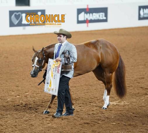 OQHYA Made It Count in OKC!