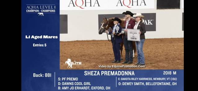 OQHYA Made It Count in OKC!