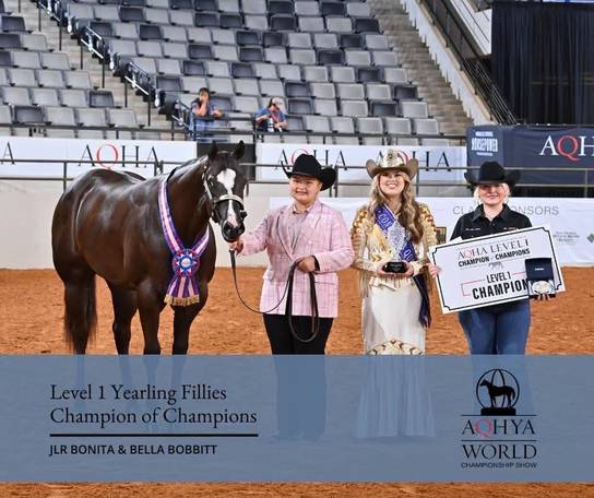 OQHYA Made It Count in OKC!