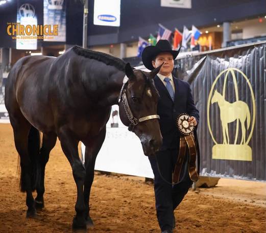 OQHYA Made It Count in OKC!