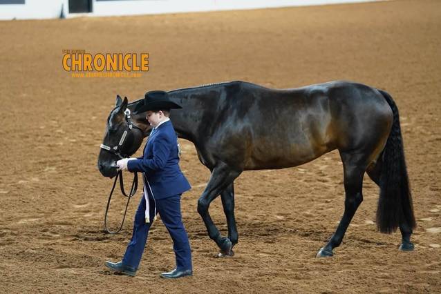 OQHYA Made It Count in OKC!