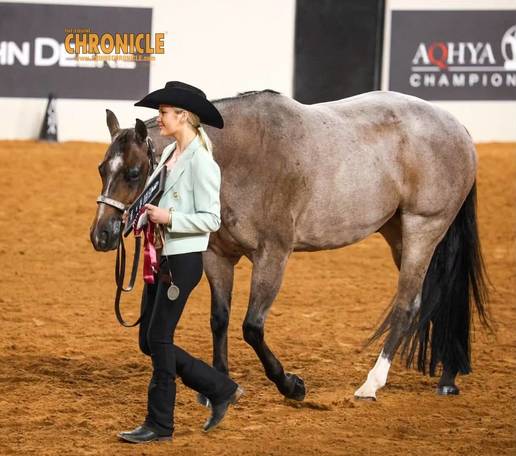 OQHYA Made It Count in OKC!