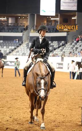 OQHYA Made It Count in OKC!