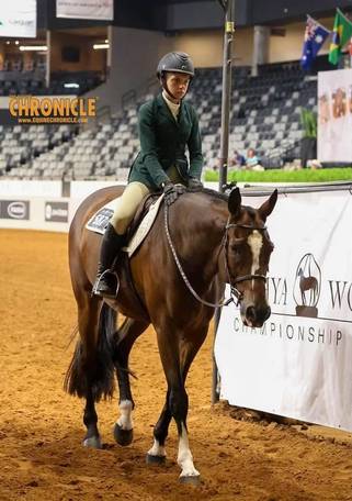 OQHYA Made It Count in OKC!