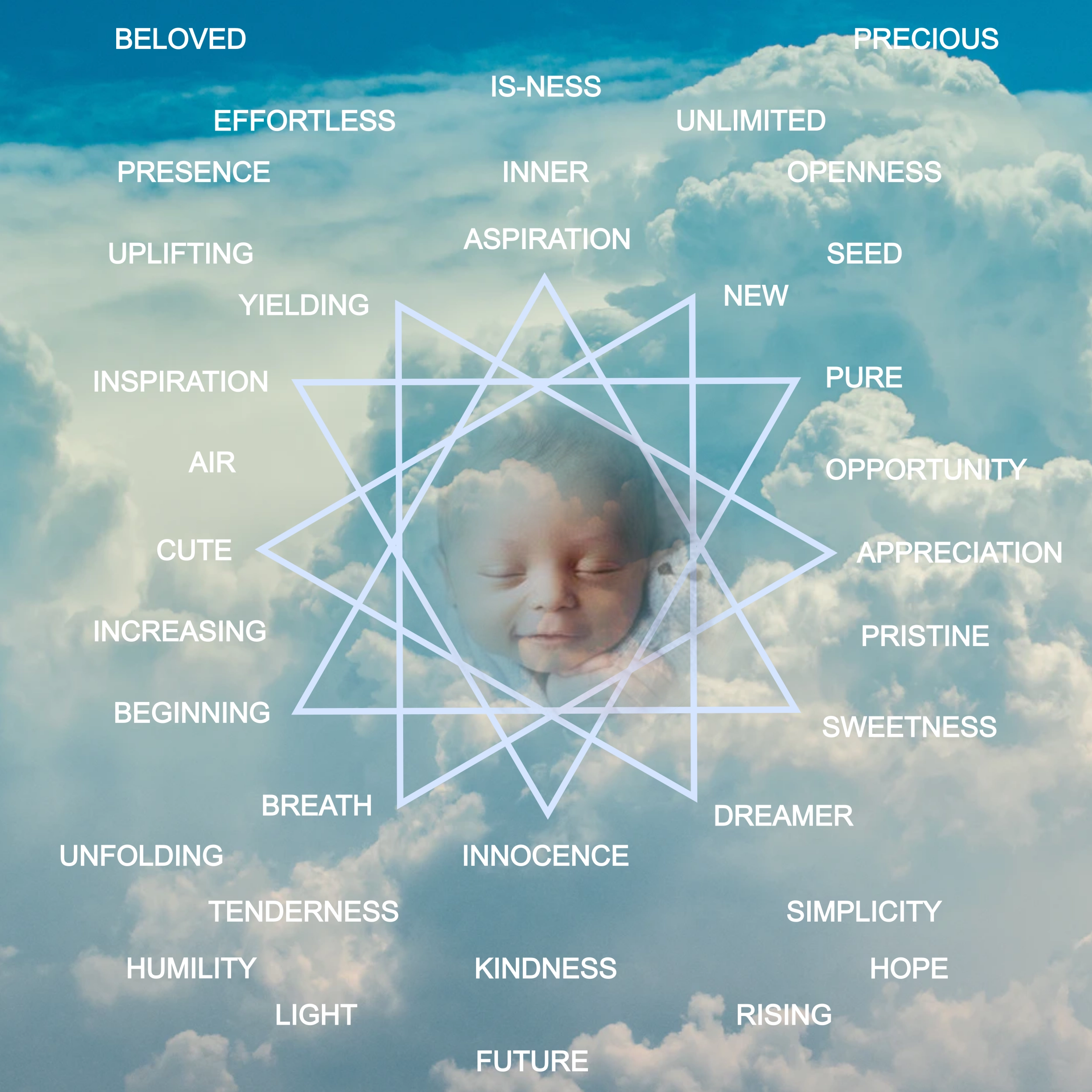Rayid Model® | Iris, Birth Order & Life Cycles