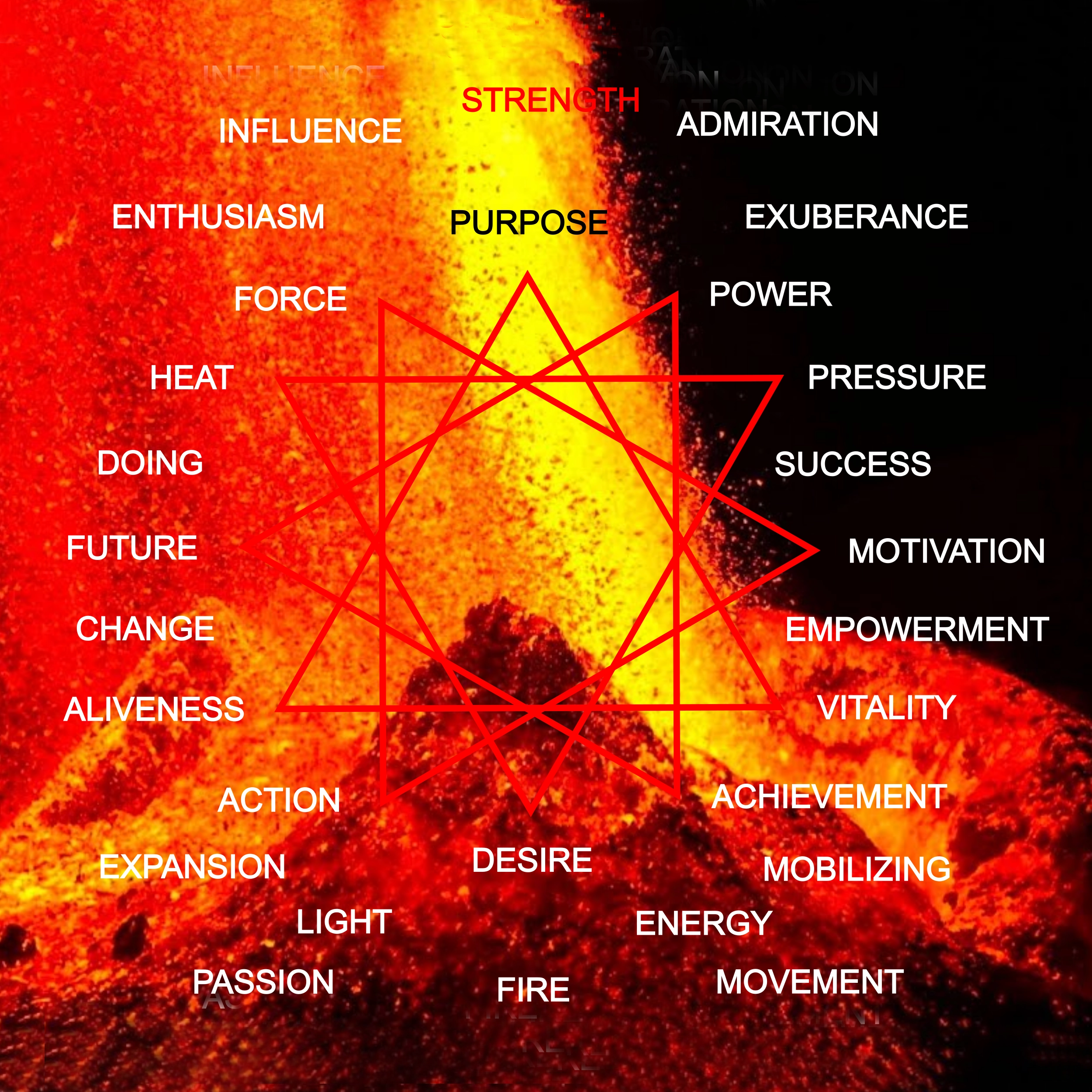 Rayid Model® | Iris, Birth Order & Life Cycles