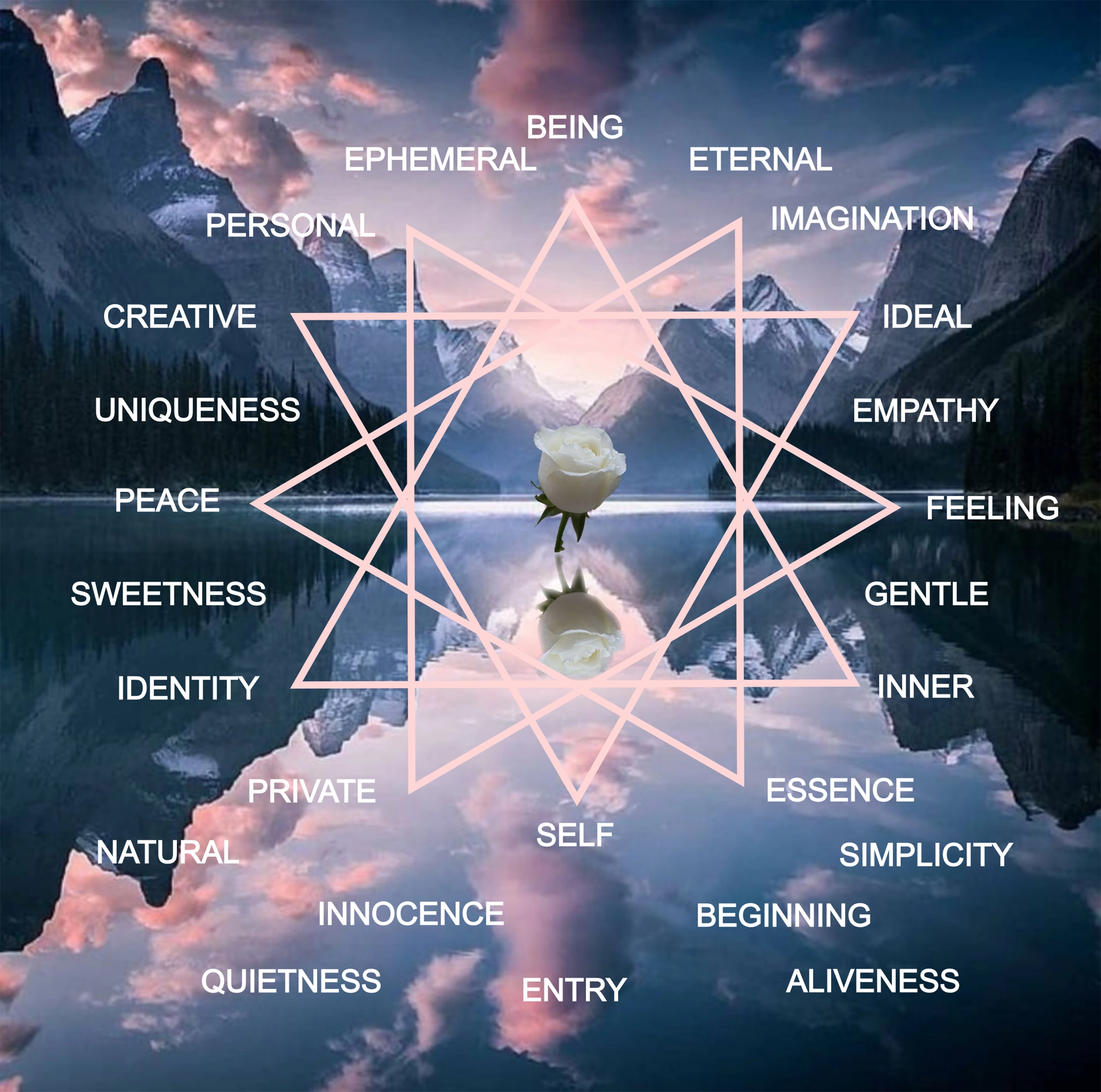 Rayid Model® | Iris, Birth Order & Life Cycles