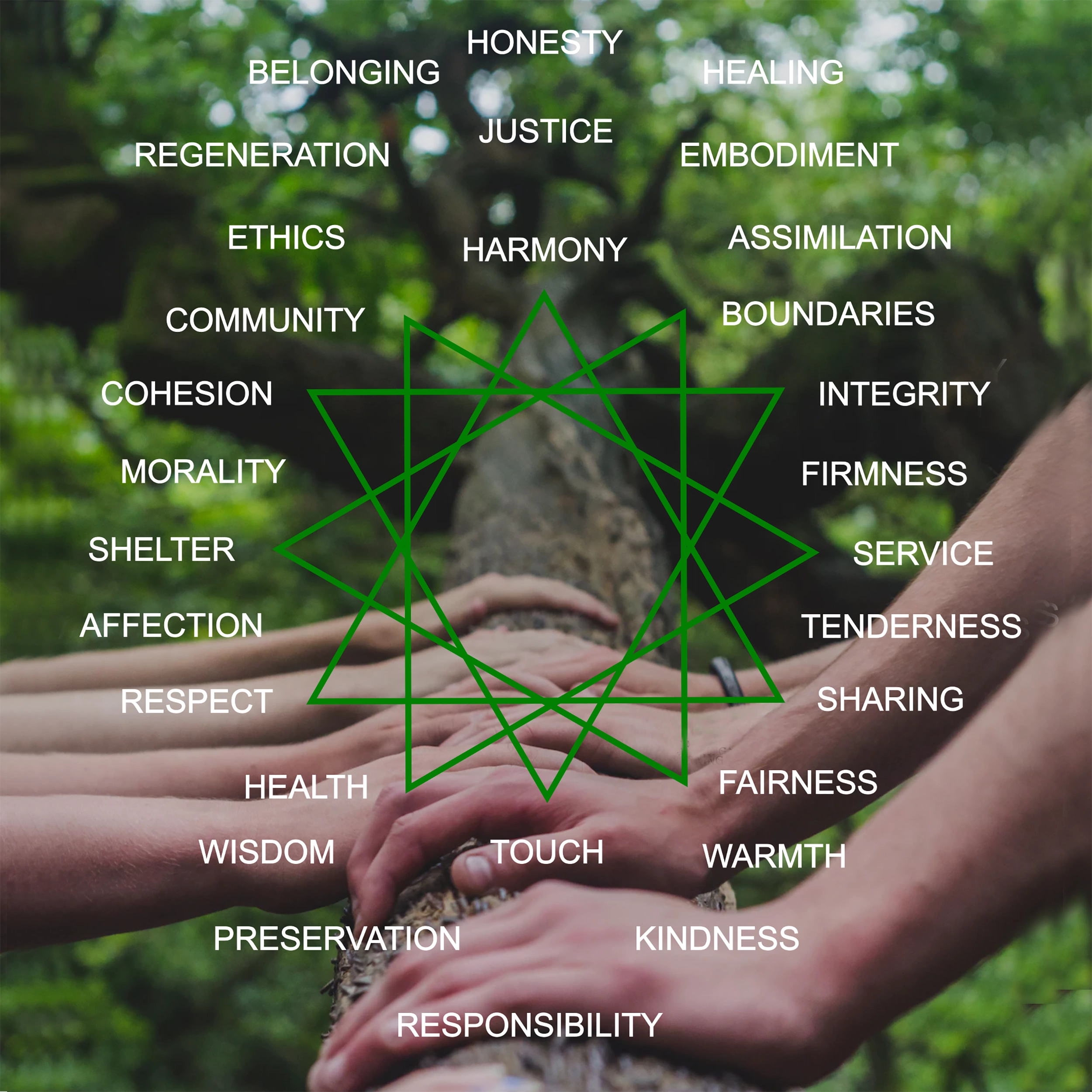Rayid Model® | Iris, Birth Order & Life Cycles