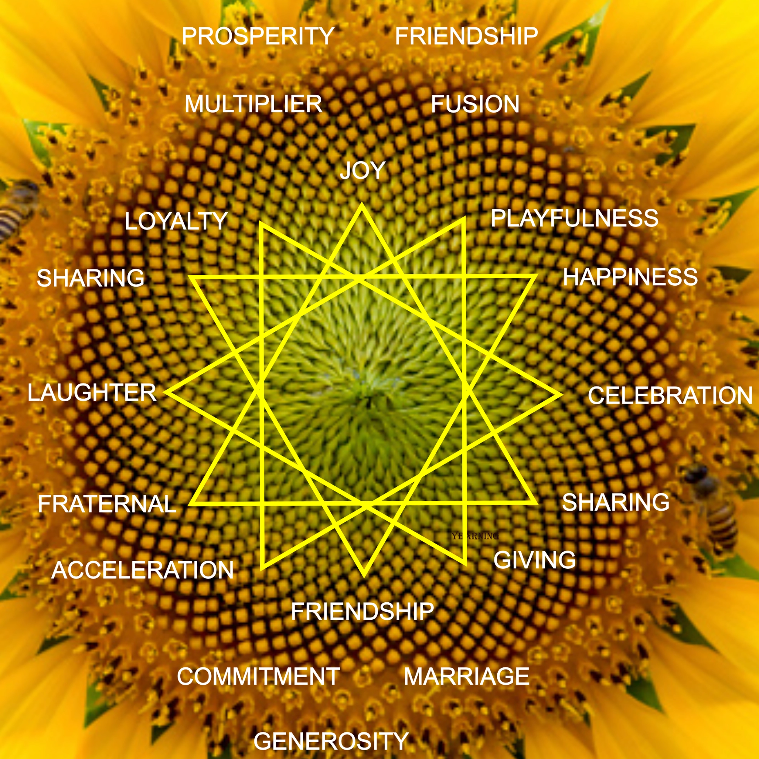 Rayid Model® | Iris, Birth Order & Life Cycles