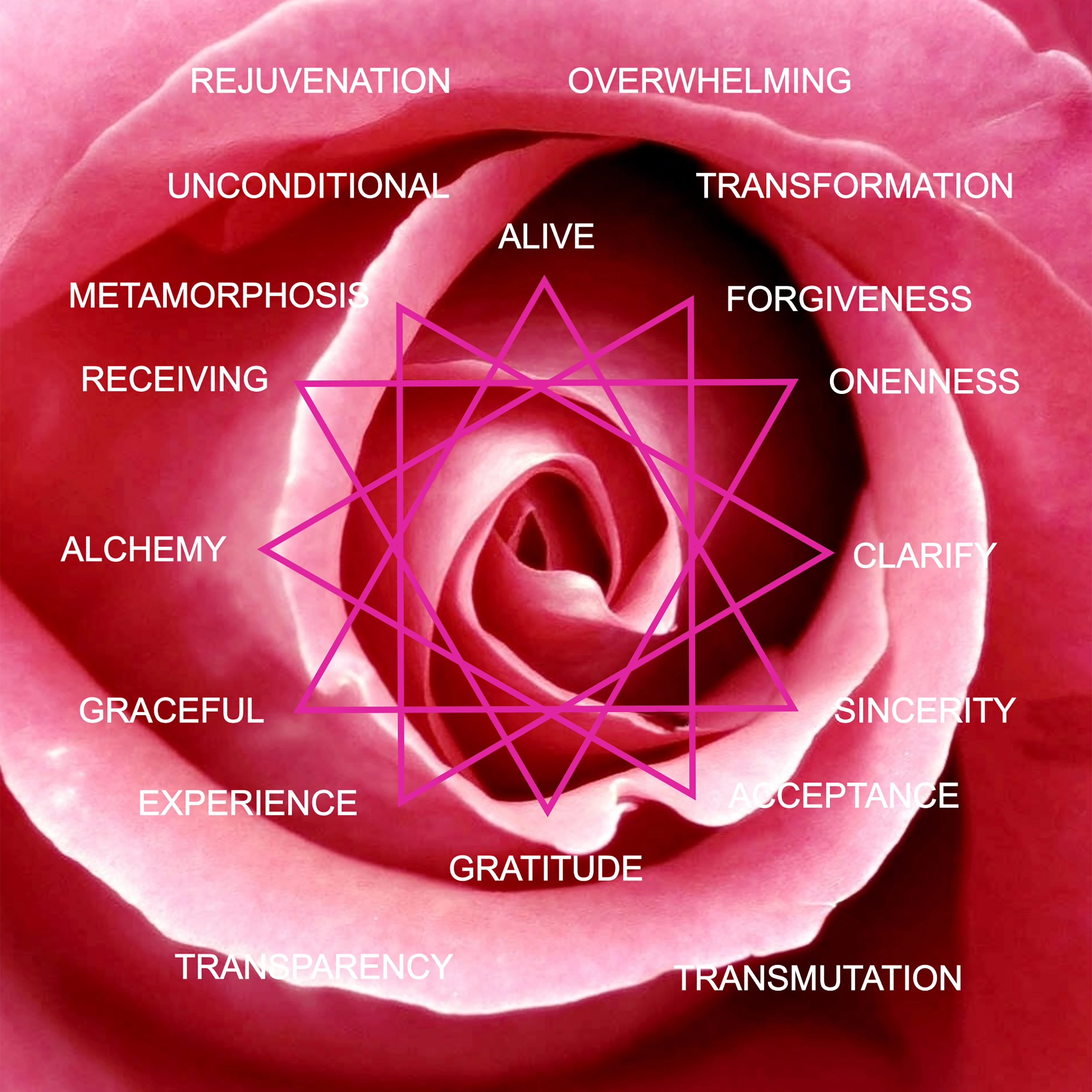 Rayid Model® | Iris, Birth Order & Life Cycles