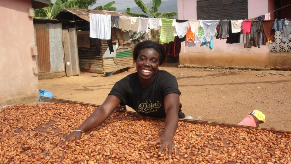 Dissertation ghana kuapa kokoo day chocolate