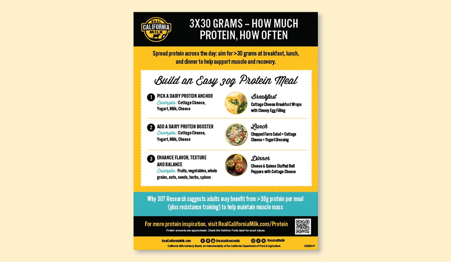 3x30 Grams – How Much Protein, How Often