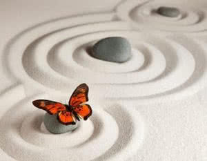 The Trouble With Transformation Butterfly