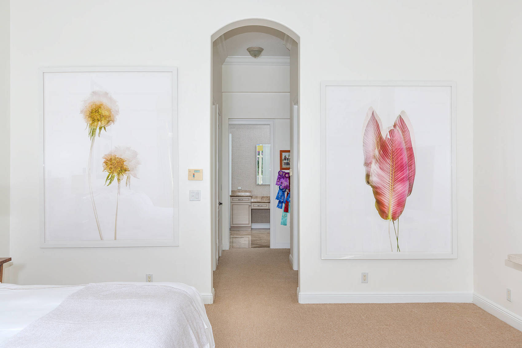 2991 Bent Cypress Rd. 