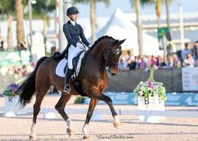 Adequan Global Dressage Festival