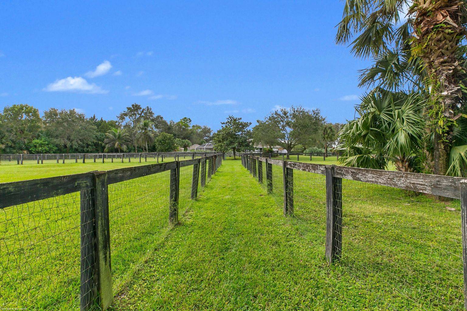 SOLD-1381 Clydesdale Ave