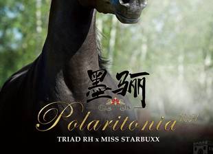 POLARITONIA RH