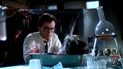 How Stuart Gordon's Re-Animator Shaped the Horror Landscape | Features - Vimarsana News