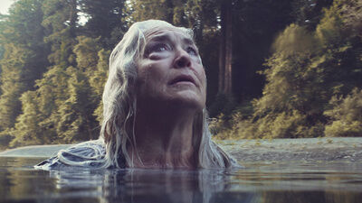 The open movie database image