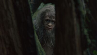 Sasquatch Sunset movie review (2024)