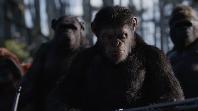 War for the Planet of the Apes movie review (2017) - Vimarsana News