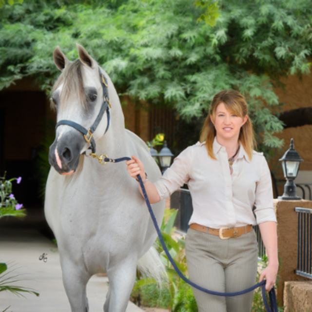 About Us Royal Arabians