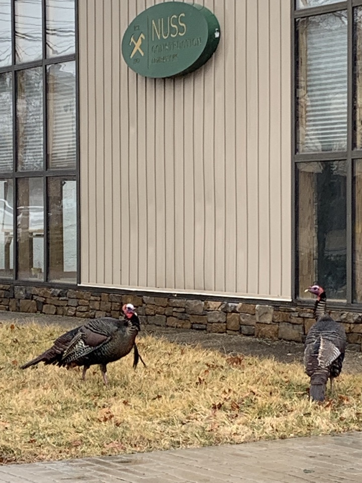 Evesham Township, NJ - Look at our new team members! Evesham Township, NJ - Look at our new team members!