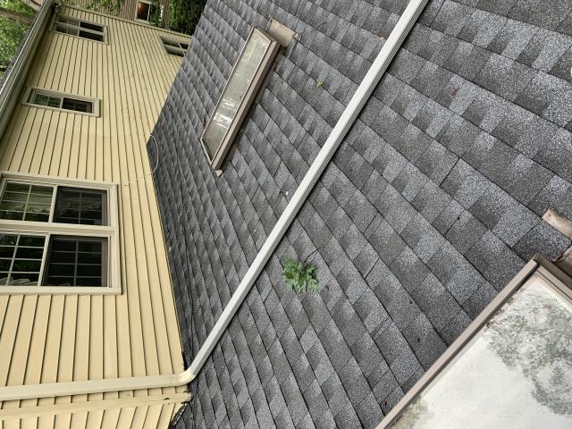Medford Lakes, NJ - Tree damaged roof, we replaced the existing damaged roof with Timberline HD - Pewter Gray shingles with 50 year GAF manufacturer warranty and 10 year workmanship warranty supplied by Nuss Construction Medford Lakes, NJ - Tree damaged roof, we replaced the existing damaged roof with Timberline HD - Pewter Gray shingles with 50 year GAF manufacturer warranty and 10 year workmanship warranty supplied by Nuss Construction