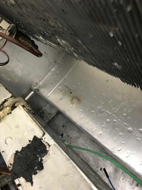 Our commercial refrigeration tech for the Ventura, CA, area arrived at a weight loss center to perform approved repairs. The Traulsen freezer had ice build up in the drain pan, found on the previous maintenance. Tech removed ice and adjusted drain pan slope so water can drain properly. During inspection found oil residue in condensate drain pan. Performed a leak check on the system and found small refrigerant leak on discharge line copper pipe, pipe was cracked. Technician recovered the freezer's refrigerant, repaired leak and replaced the filter drier. Pulled unit into vacuum and recharged with 404A refrigerant. Checked operations after making repairs, found no more issues. Monitored unit until temperatures dropped to freezing, job complete.