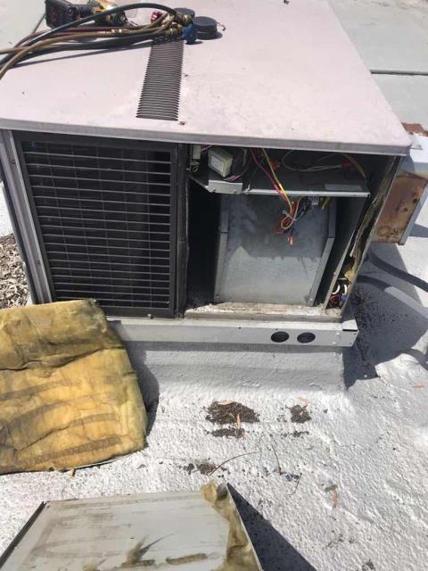 A business owner in Irvine California reported that the air wasn't working in their office. Dispatched our commercial HVAC tech to the site to inspect. Our technician found the Carrier system frozen at the evaporator coil. After defrosting the coil our tech found the blower section insulation had fallen off into the cabinet. Replaced it, also increased the blower speed. Continued troubleshooting and found the unit low on charge, pinpointed leak and repaired. Unit now supply 55 degree air and no longer freezing.