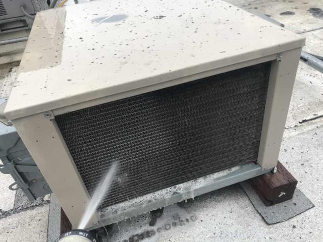 Our restaurant client in Fremont, CA, was scheduled for their quarterly AC and Refrigeration maintenance today. All AC units have their filters replaced and components inspected/tested for winter, and all refrigeration condensers were serviced and cleaned. No issues found on this service, all systems operational.