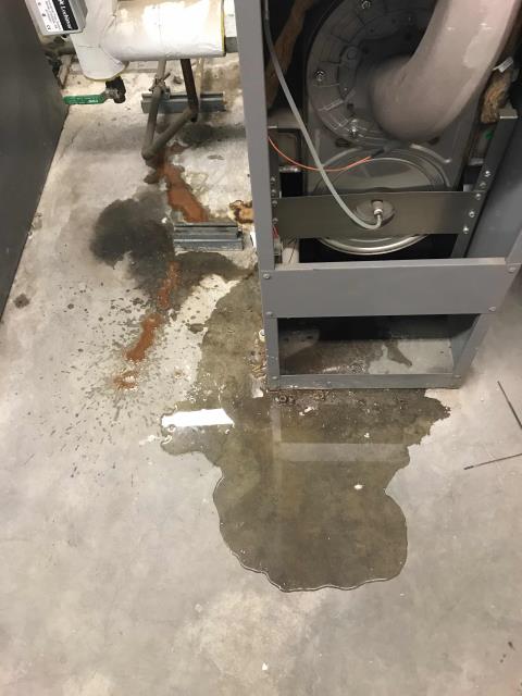 A grocery store in Lakewood, California, requested an inspection of their boilers onsite. The technician found multiple issues, primarily with a lake of previous maintenance on the boilers. Burners will need to be cleaned and replaced, heat exchangers need cleaning. Condenser drains were all blocked and had to be cleared with nitrogen. Will need to replace the water neutralizers as well. 
Tech also found the vent caps were missing or deteriorating on the roof, and the alarm the site reported was due to a programming issue (set to manual off only). Will need quote and resolve additional issues, boilers are working now after initial repairs.