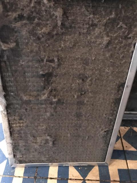 Los Angeles, CA - Coffee shop on Sunset Boulevard in Los Angeles reported an issue with their display cooler. Water was pooling underneath the unit. Troubleshooting found a plugged drain and overflowing condensate pan. Condenser coil was very dirty. Cleaned out the drain line, pan and evaporator coil. System working well otherwise, no additional work needed. Los Angeles, CA - Coffee shop on Sunset Boulevard in Los Angeles reported an issue with their display cooler. Water was pooling underneath the unit. Troubleshooting found a plugged drain and overflowing condensate pan. Condenser coil was very dirty. Cleaned out the drain line, pan and evaporator coil. System working well otherwise, no additional work needed.