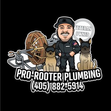 Pro-Rooter Plumbing & Drain Services