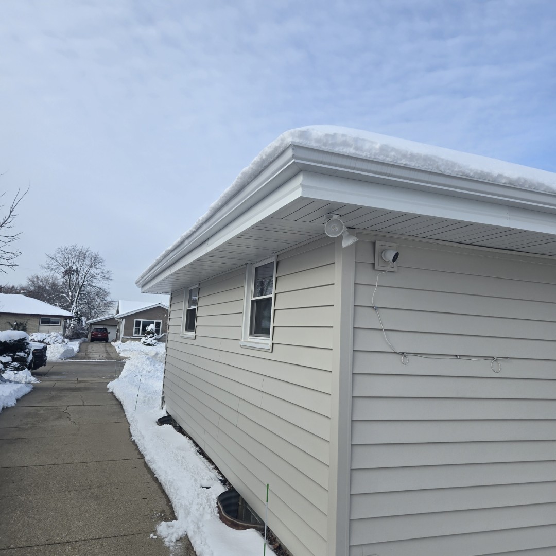 servicing Fascia on back of house