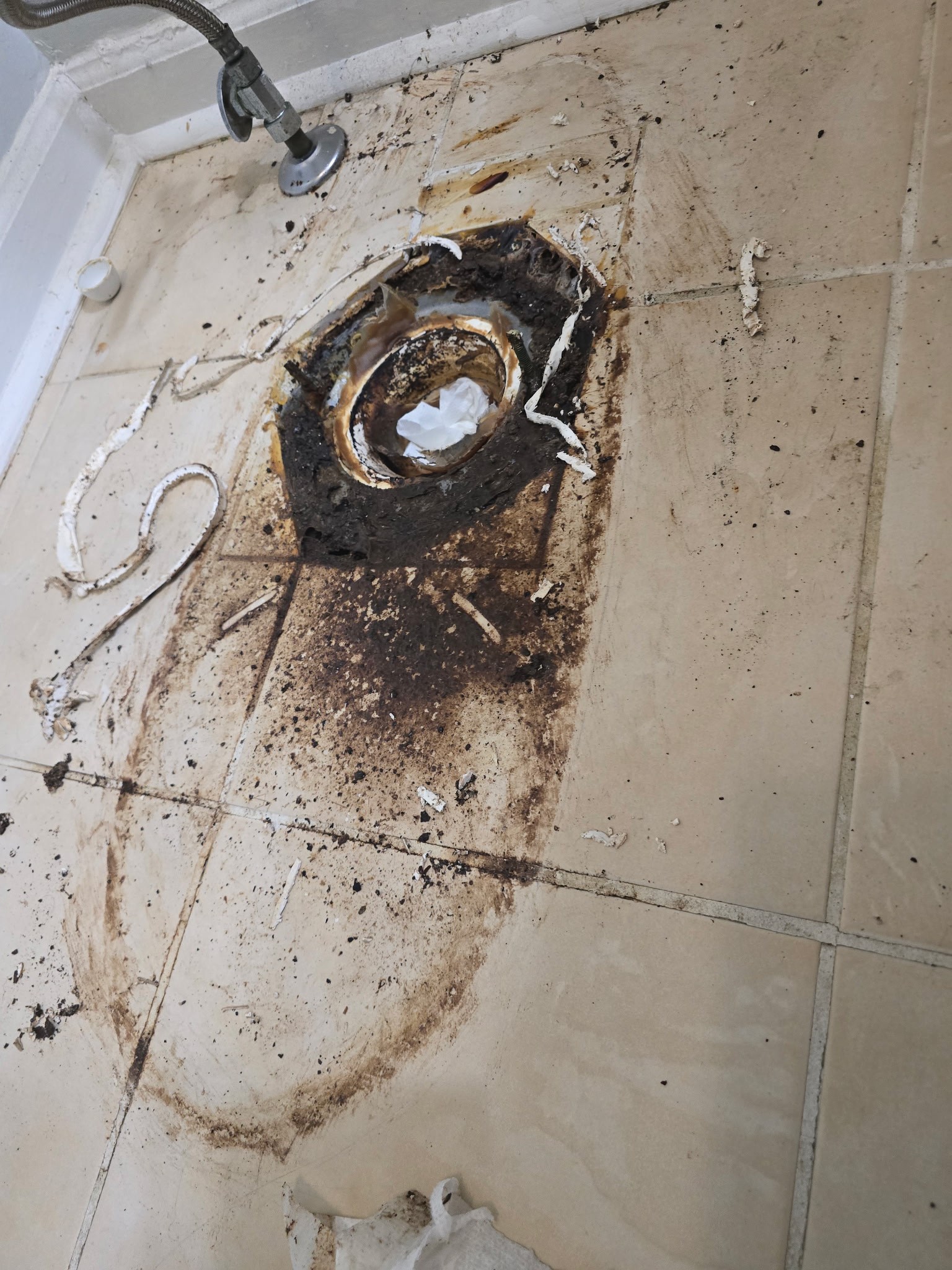 Upon arrival, I addressed a leaking toilet with heavily rusted bolts. I removed the rusted bolts, detached the toilet from the flange, and disposed of the old wax seal. New bolts and a wax ring were installed, and the toilet was securely reattached. Additionally, I replaced the old toilet fill valve with a new one. For the kitchen sink, I removed the old faucet and shut-off valves, then installed a new Moen faucet and shut-off valves. Water supply was restored, and all fixtures were tested for proper operation and no leaks.