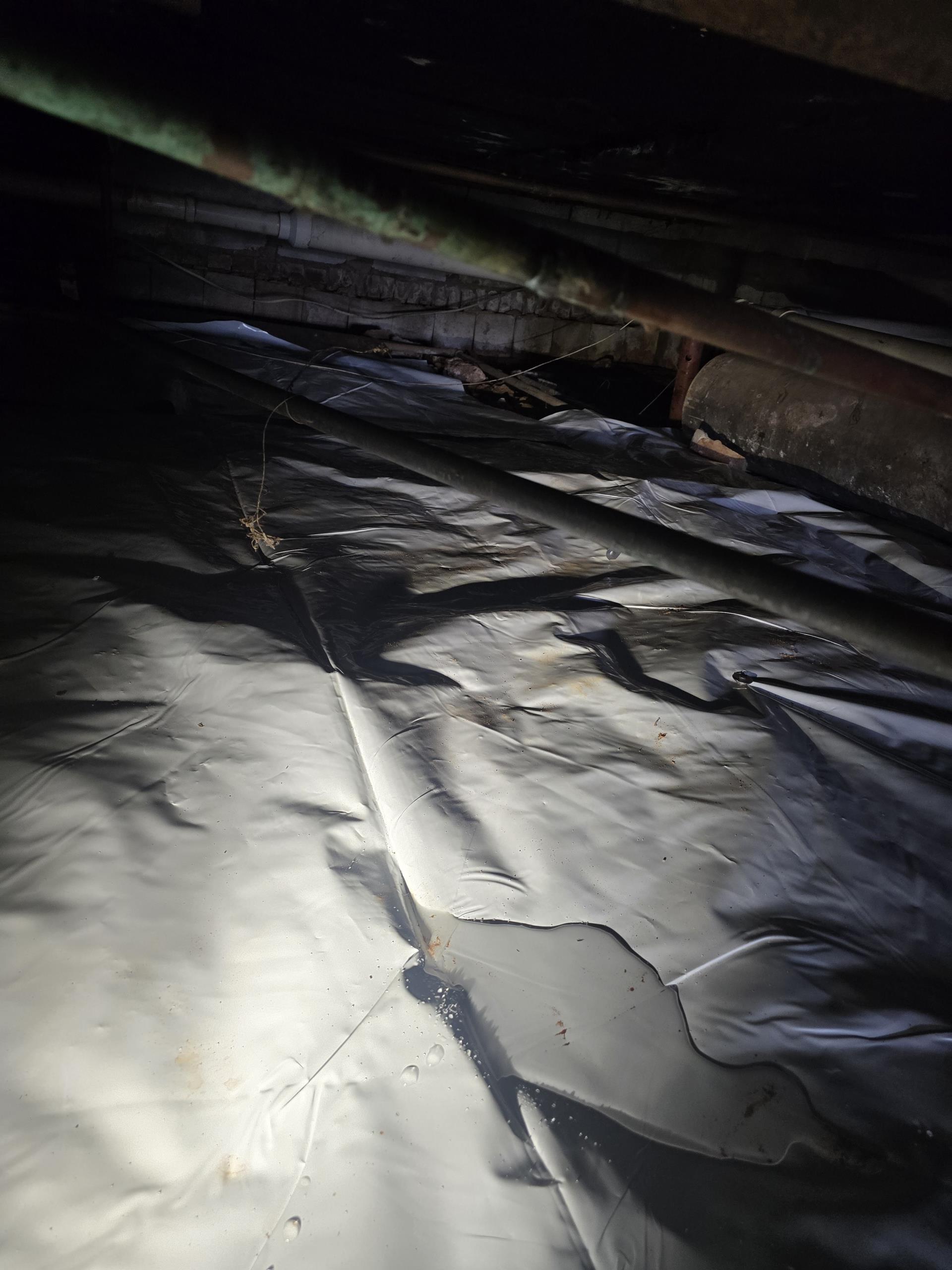 I addressed a crawl space leak and replaced corroded copper pipes. The leaking water line under the home was repaired, restoring water pressure and eliminating the active leak. Given the local humidity and soil conditions, such plumbing issues are common. My expertise ensured a thorough inspection, precise repairs, and effective solutions to prevent future problems.