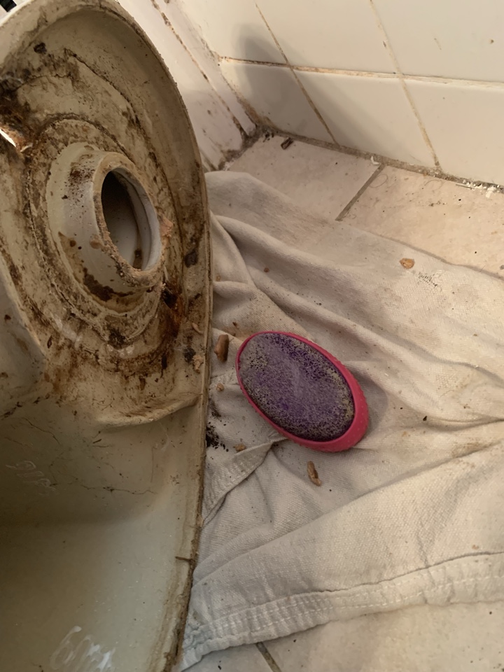 Restore Plumbing and Drain Elgin Illinois Dependable Techs, Reliable