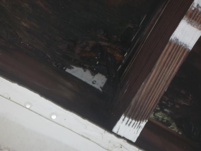 St. Louis, MO - Looking at leaking that is causing wood to rot St. Louis, MO - Looking at leaking that is causing wood to rot
