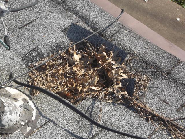 Florissant, MO - Pricing to replace this roof with holes in the wood decking Florissant, MO - Pricing to replace this roof with holes in the wood decking