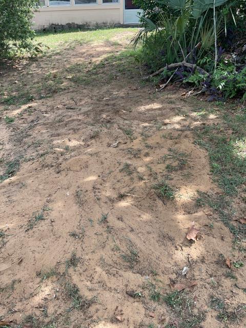 Digging and cleaning out filter