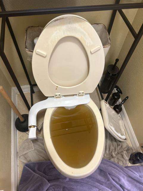 The clog was in the p trap of the toilet.
 The clog was in the p trap of the toilet.