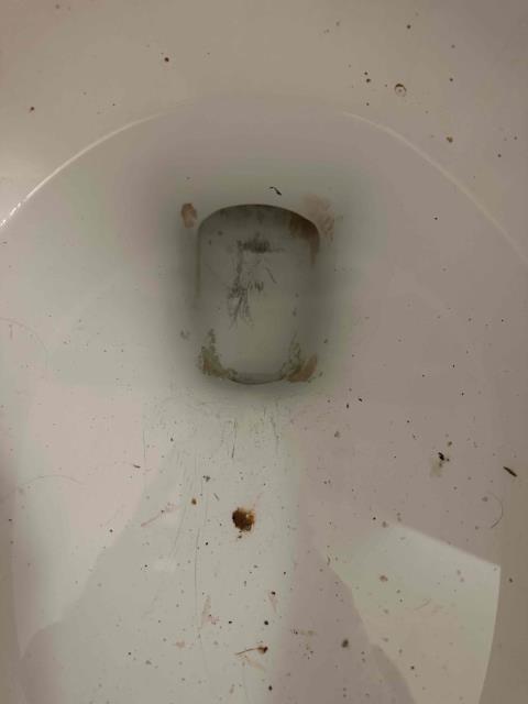 Augered Toilet/Urinal Stoppage