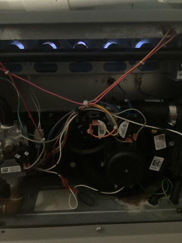 Performed annual furnace maintenance as part of Air Care Membership program. Inspected gas burner assembly and flame sensors, confirming proper operation with blue flame indicators. Checked all electrical connections and control components, with diagnostic testing showing system operating within normal parameters.